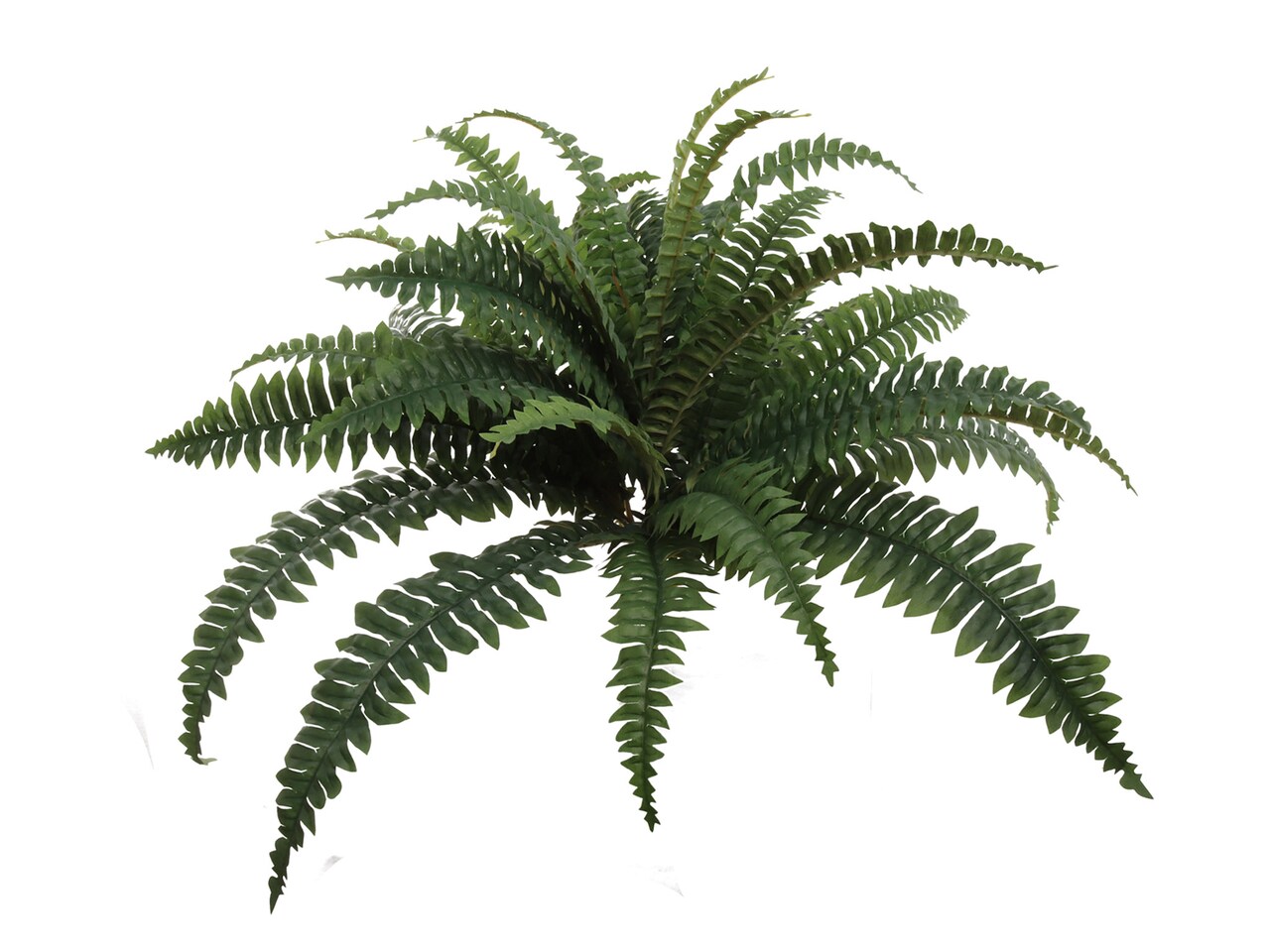 Box of 6: 34" Boston Fern Plant - 30 Silk Fronds, Lifelike Greenery, Indoor/Outdoor Decor - Perfect for Home, Office, Garden & All-Season Display, Floral Home by Artificial Flowers